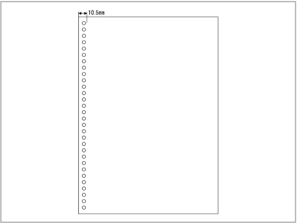 BPE2049 ヒサゴ マルチプリンタ帳票 A4 白紙 30穴(10000枚入) - ミモザ