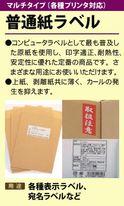 お得セット×10) エーワン ラベルシール/宛名シール (A4/20面 100枚