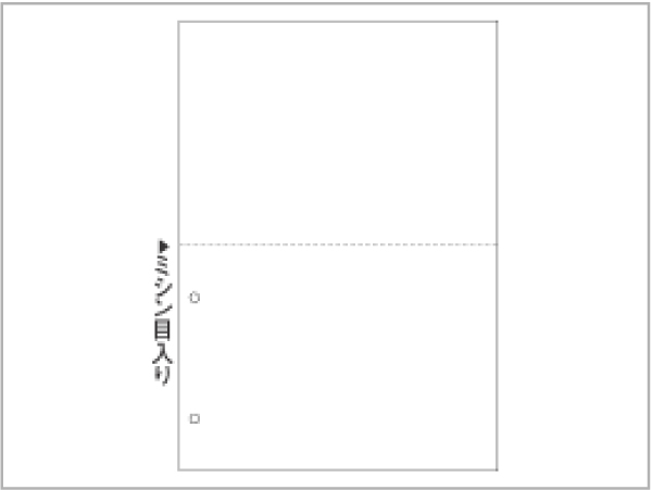 FSC2084Z ヒサゴ マルチプリンタ帳票FSC A4 白紙 2面 2穴 - ミモザ