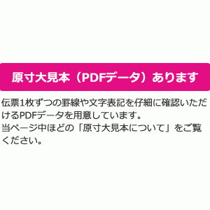 C-BA15 チェーンストア統一伝票［ターンアラウンド1型］（伝票No.無