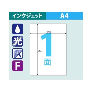 CJ3300NS ヒサゴ 耐水ラベル 透明 A4(25シート入) - ミモザ