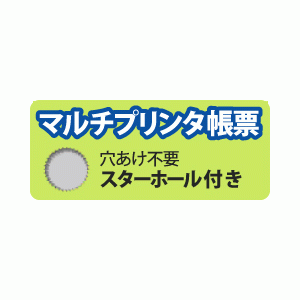 FSC2001Z ヒサゴ マルチプリンタ帳票FSC A4 白紙 2穴 - ミモザ