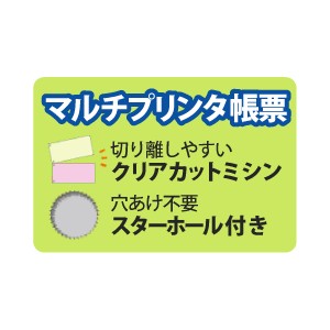 FSC2013Z ヒサゴ マルチプリンタ帳票FSC A4 カラー 3面 6穴 - ミモザ