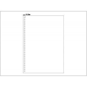 FSC2049Z ヒサゴ マルチプリンタ帳票FSC A4 白紙 30穴 - ミモザ