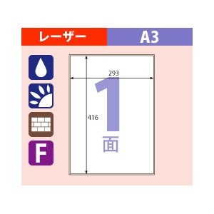 Klpb862a3s ヒサゴ 屋外用ラベル 粗い面対応 A3 ノーカット ミモザ