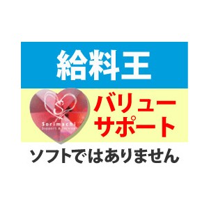 ソリマチ 給料王 バリューサポート（年間保守） - ソリマチ認定販売店