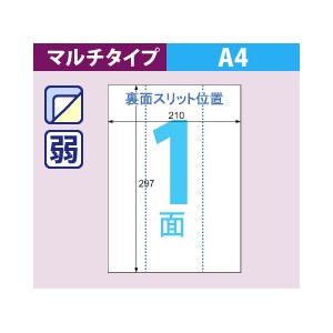 OPL862 ヒサゴ きれいに・かるくはがせるラベル A4 ノーカット(100