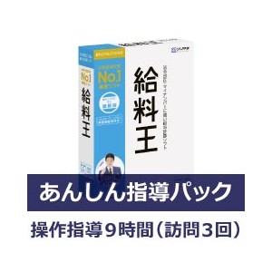 給料王21 ソリマチ - 事務/店舗用品